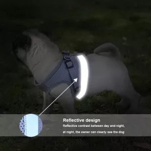 Reflexní postroj a vodítko pro psa - polyester, velikost L (modrý)