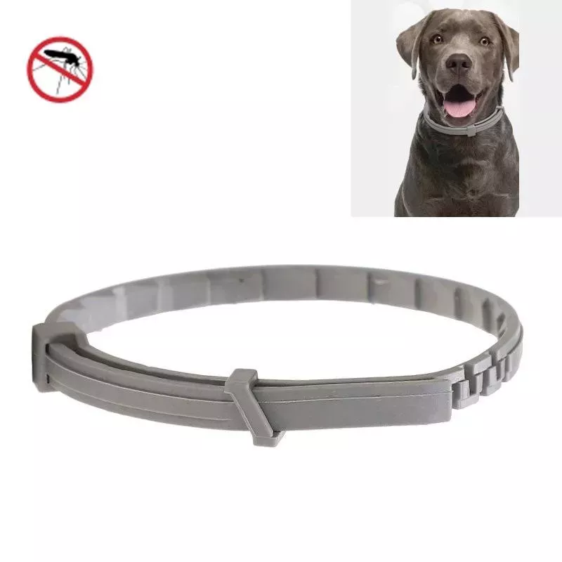 Obojek proti blechám a vší pro kočky, velikost 38 cm