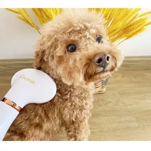 Elektrický hřeben a sušička srsti pro psy a kočky, US Plug (zelená)