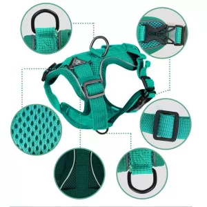 Pet Vest Harness + Tažná Šňůra Set Reflexní Prodyšný Postroj pro Psy a Kočky, Velikost: S (Růžová)