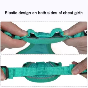 Pet Vest Harness + Traction Rope Set Reflexní Psa a Kočka Hrudní Popruh, Velikost: XL (Modrá)