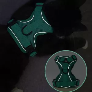 Pet Vest Harness + Traction Rope Set Reflexní Psa a Kočka Hrudní Popruh, Velikost: XL (Modrá)