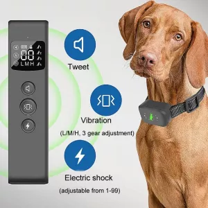 Chytrý vodotěsný elektrický výcvikový obojek pro psy - dobíjecí dálkový ovládač (černý)