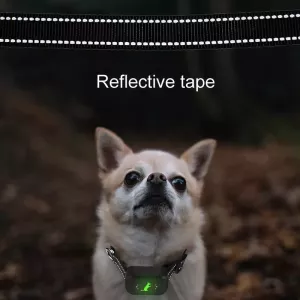 Chytrý vodotěsný elektrický výcvikový obojek pro psy - dobíjecí dálkový ovládač (černý)