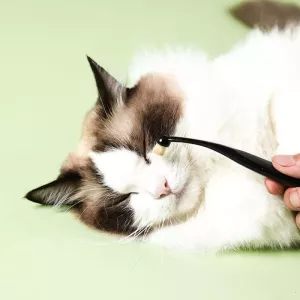 Kartáč na oči pro psy a kočky - Pet Eye Cleaning Tear Stain Brush (černý)