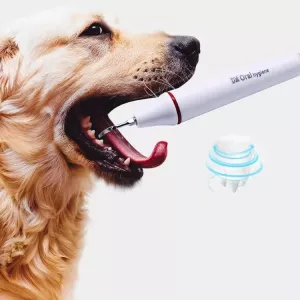 Ultrazvuková čistička zubů pro psy - Odstraňovač zubního kamene (Růžový, US Plug)