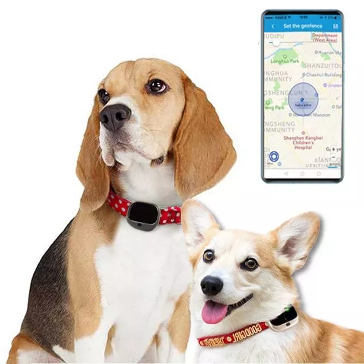 RF-V43 A Style IP67 Voděodolný GPS + LBS + WiFi Sledovací Nástroj pro Domácí Mazlíčky (Černý)