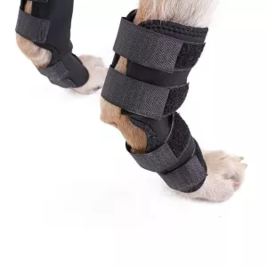 DogLemi PD60041 Ortéza na zadní nohu pro psy - M
