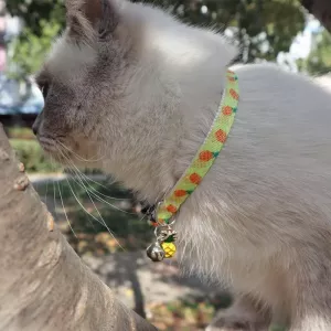 Obojek pro kočky Pet Webbing s ovocnými doplňky, ananas, 1x28 cm