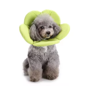 Obojek pro ochranu psů s květinovým vzorem, vel. L (zelený) - Pet Protection Collar