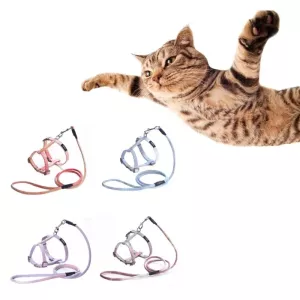 KAFULI Pet Adjustable I-Shape Hrudní Popruh a Vodítko - Velikost M (Gradientová Fialová)