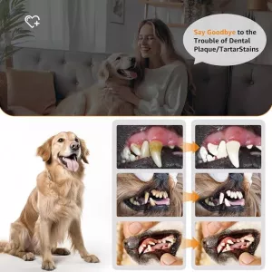 Pet Ultrasonic Teeth Cleaner - Elektrický čistič zubů pro psy - Odstraňovač zubního kamene (Bílý)