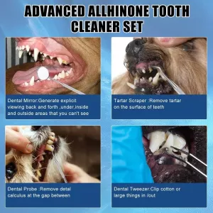 Pet Ultrasonic Teeth Cleaner Dog Electric Teeth Cleaning Tool Home Dentistry Tartar Remover (Černý)