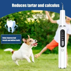 Ultrazvukový čistič zubů pro psy - elektrický nástroj na čištění zubů (černý)