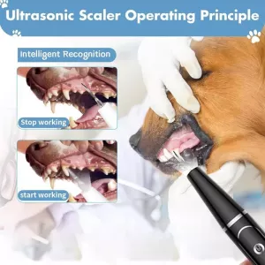 Pet Ultrasonic Teeth Cleaner – Sada na čištění zubů pro psy s dárkovou krabičkou a zrcadlem (Bílé)