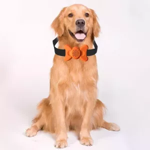 Automatický obojek pro psy s ovládáním hlasem - trenažér (bílý)