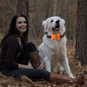 Automatický obojek pro psy s ovládáním hlasem - trenažér (bílý)