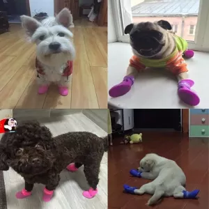 Stylové psí boty Lovely Pet pro štěňata, voděodolné gumové boty - Růžové, S (4.3 x 3.3 cm)