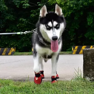 HCPET Proti skluzu odolné psí boty - čtyři roční období, velikost 3 (černá)
