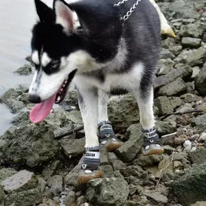 HCPET Psí boty 4ks, prodyšné síťované - Velikost č. 3 (Šedá) - pohodlné pro všechny sezóny