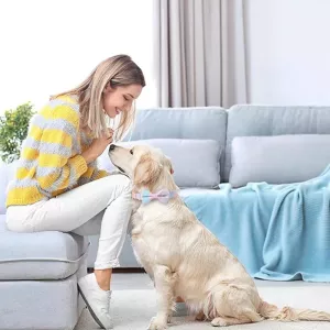 Obojek pro domácí zvířata s odnímatelnou mašlí - Rose Gold s modrým květinovým vzorem, velikost S 1.5x28-40cm Obojek pro domácí zvířata s odnímatelnou mašlí - Rose Gold s modrým květinovým vzorem, velikost S 1.5x28-40cm