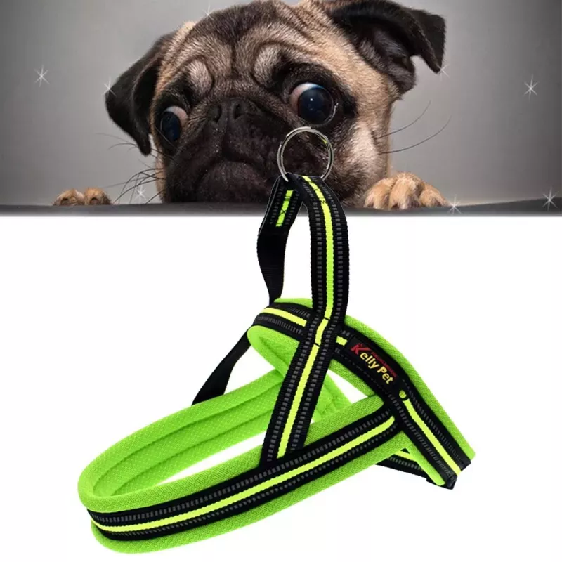 Reflexní hrudní popruh pro psy A7, vodítko, zelené, vel. S (2.0*50*62cm)