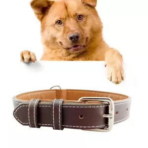 Kožený obojek pro psy – Velký obojek pro psy, velikost: M, 2*42cm (pleťový)