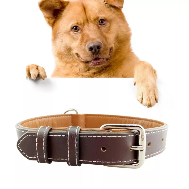 Kožený obojek pro psy – Velký obojek pro psy, velikost: M, 2*42cm (pleťový)